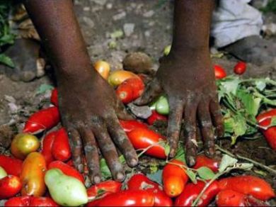 Direttiva europea per le sanzioni ai datori di lavoro di stranieri irregolari
