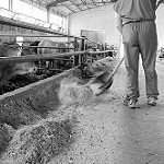 La codificazione del precariato nella riforma Fornero: il voucher – Giovanni Giovannelli