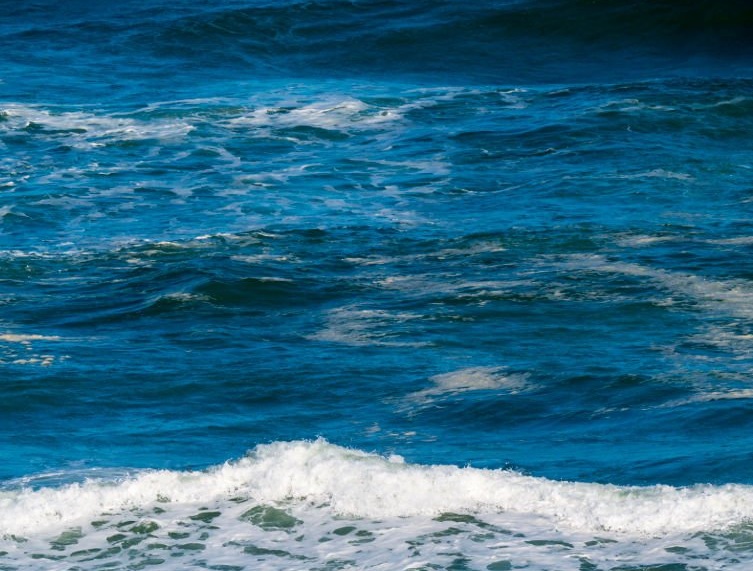 Il provvedimento della Cassazione nel caso Libra. Intervista con l’Avv. Stefano Greco per capirne di più